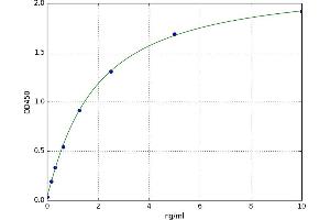 Neudesin (NENF) ELISA Kit