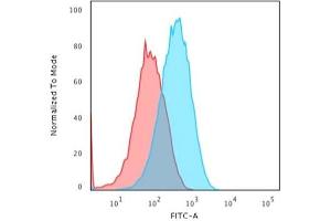 Flow Cytometric Analysis of paraformaldehyde-fixed HepG2 cells using Albumin Monospecific Mouse Monoclonal Antibody (ALB/2356) followed by goat anti-Mouse IgG-CF488 (Blue); Isotype Control (Red). (Albumin 抗体)