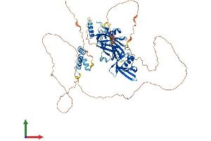 Protein Structure (PS) image for Grainyhead-Like 1 (GRHL1) (AA 1-618) protein (His tag) (ABIN7554044)