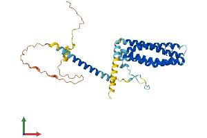 Protein Structure (PS) image for Secretory Carrier Membrane Protein 2 (SCAMP2) (AA 1-329) protein (His tag) (ABIN7545966)