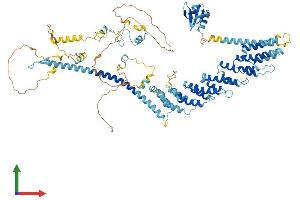 Protein Structure (PS) image for Tuftelin Interacting Protein 11 (TFIP11) (AA 1-838) protein (His tag) (ABIN7565047)