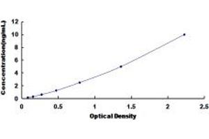Typical standard curve (CCR1 ELISA 试剂盒)