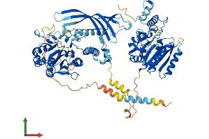 Protein Structure (PS) image for Chondroitin Sulfate Synthase 1 (CHSY1) (AA 1-800) protein (His tag) (ABIN7564165)