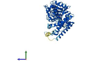 Protein Structure (PS) image for Cytochrome P450, Family 4, Subfamily F, Polypeptide 12 (CYP4F12) (AA 1-524) protein (His tag) (ABIN7546691)
