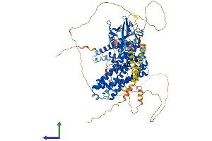 Protein Structure (PS) image for rho Guanine Nucleotide Exchange Factor (GEF) 1 (ARHGEF1) (AA 1-920) protein (His tag) (ABIN7563908)