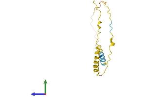 AlphaFold protein structure predicition of Mouse Recombinant Bex4 Protein, UniprotID Q9CWT2