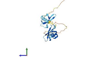 Protein Structure (PS) image for Chromobox Homolog 1 (CBX1) (AA 1-185) protein (His tag) (ABIN7556757)