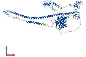 Protein Structure (PS) image for Tripartite Motif Containing 25 (TRIM25) (AA 1-634) protein (His tag) (ABIN7563918)