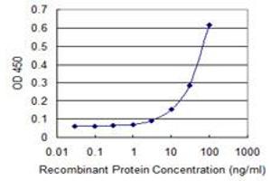 Detection limit for recombinant GST tagged PGLS is 1 ng/ml as a capture antibody. (PGLS 抗体  (AA 1-258))