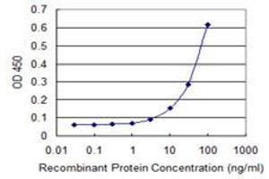 Detection limit for recombinant GST tagged PGLS is 1 ng/ml as a capture antibody. (PGLS 抗体  (AA 1-258))