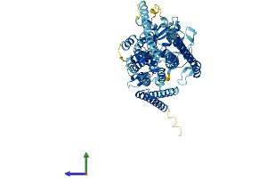 Protein Structure (PS) image for Anoctamin 10 (ANO10) (AA 1-660) protein (His tag) (ABIN7552155)