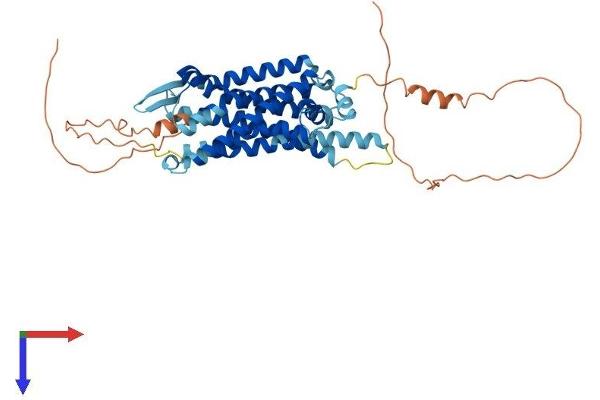 TACR3 Protein (AA 1-452) (His tag)