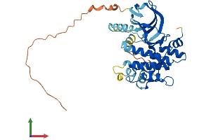 AlphaFold protein structure predicition of Mouse Recombinant Map2k3 Protein, UniprotID O09110
