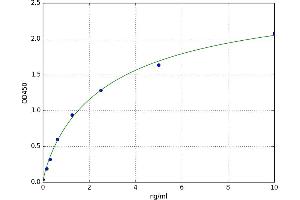 Cancer Antigen 1 (CAGE1) ELISA Kit