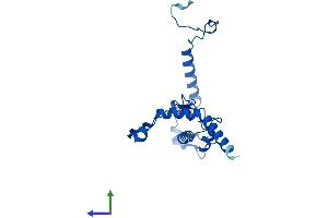 AlphaFold protein structure predicition of Human Recombinant RPL13 Protein, UniprotID P26373 (RPL13 Protein (AA 1-211) (His tag))