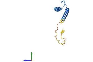 AlphaFold protein structure predicition of Human Recombinant TAL2 Protein, UniprotID Q16559