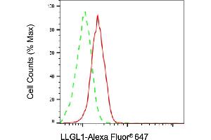 Flow cytometric analysis of LLGL1 expression in HAP-1 cells using LLGL1 antibody (ABIN7799250), 1:2,000).