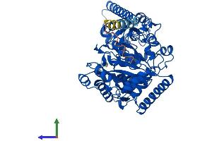 Protein Structure (PS) image for Fatty Acid Amide Hydrolase (FAAH) (AA 1-579) protein (His tag) (ABIN7553871)