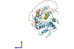 Protein Structure (PS) image for Zinc Finger Protein 566 (ZNF566) (AA 1-418) protein (His tag) (ABIN7545475)