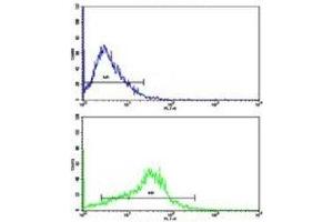 Flow cytometric analysis of HepG2 cells using APP antibody (bottom histogram) compared to a negative control (top histogram). (APP 抗体  (AA 29-61))