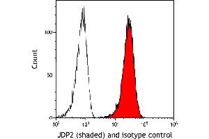 Flow Cytometry (FACS) image for anti-Jun Dimerization Protein 2 (JDP2) (AA 50-100) antibody (ABIN7795636) (Recombinant JDP2 抗体  (AA 50-100))