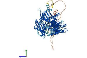 AlphaFold protein structure predicition of Mouse Recombinant Hps1 Protein, UniprotID O08983