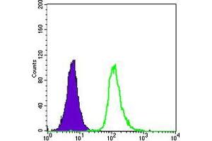 Flow cytometric analysis of HepG2 cells using SMN1 mouse mAb (green) and negative control (purple). (SMN1 抗体)