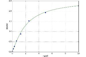 Myosin, Light Chain 3 (MYL3) ELISA Kit