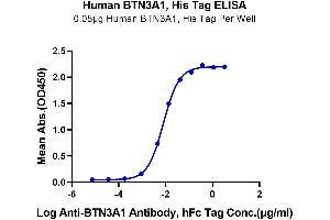 ELISA image for Butyrophilin, Subfamily 3, Member A1 (BTN3A1) (AA 30-254) protein (His tag) (ABIN7274004)