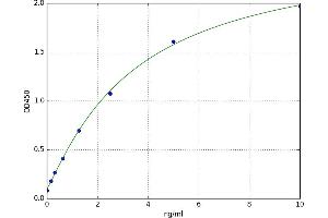 ELOVL Fatty Acid Elongase 1 (ELOVL1) ELISA Kit