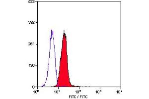 Staining of human peripheral blood granulocytes with MOUSE ANTI HUMAN CD11c:FITC (ABIN119598). (CD11c 抗体  (FITC))