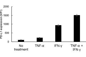 Flowcytometry analysis of cytokine-stimulateddog cancer cells Canine malignant melanoma cell line CMeC(1.