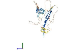 AlphaFold protein structure predicition of Human Recombinant CEP72 Protein, UniprotID Q9P209