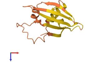 AlphaFold protein structure predicition of Human Recombinant SNURFL Protein, UniprotID B1AK76