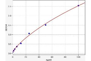 Complement Component 1, S Subcomponent (C1S) ELISA Kit