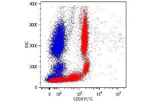 Surface staining of human peripheral blood cells with anti-CD58 (MEM-63) FITC. (CD58 抗体  (APC))