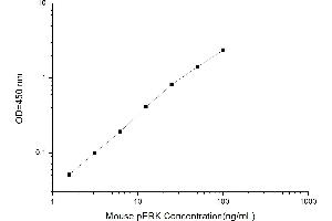 Typical standard curve (Phospho-Extracellular Signal-Regulated Kinase ELISA 试剂盒)