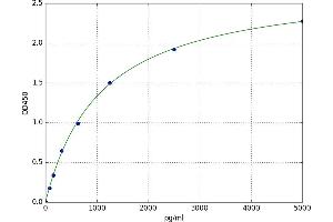 Lipase, Gastric (LIPF) ELISA Kit