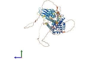 Protein Structure (PS) image for Mitogen-Activated Protein Kinase Kinase Kinase MLT (ZAK) (AA 1-802) protein (His tag) (ABIN7565064)