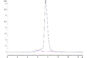 Size-exclusion chromatography-High Pressure Liquid Chromatography (SEC-HPLC) image for Programmed Cell Death 1 Ligand 2 (PDCD1LG2) (AA 20-220) protein (His-Avi Tag,Biotin) (ABIN7275433)