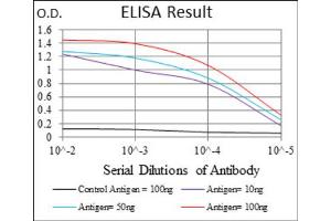 Red: Control Antigen (100ng) ; Purple: Antigen (10ng) ; Green: Antigen (50ng) ; Blue: Antigen (100ng). (CD24 抗体  (AA 15-80))