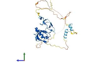 Protein Structure (PS) image for PDZ and LIM Domain 4 (PDLIM4) (AA 1-330) protein (His tag) (ABIN7556682)