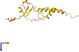 AlphaFold protein structure predicition of Human Recombinant C20orf173 Protein, UniprotID Q96LM9