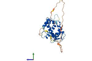 AlphaFold protein structure predicition of Mouse Recombinant Pef1 Protein, UniprotID Q8BFY6 (PEF1 Protein (AA 1-275) (His tag))