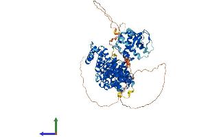 Protein Structure (PS) image for NCK Interacting Protein with SH3 Domain (NCKIPSD) (AA 1-714) protein (His tag) (ABIN7565062)