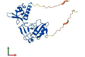 Protein Structure (PS) image for tRNA Phosphotransferase 1 (TRPT1) (AA 1-249) protein (His tag) (ABIN7559541)