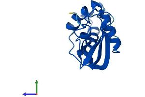 Protein Structure (PS) image for tRNA Methyltransferase 11-2 (TRMT112) (AA 1-125) protein (His tag) (ABIN7561334)