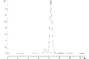 Size-exclusion chromatography-High Pressure Liquid Chromatography (SEC-HPLC) image for Cytotoxic T-Lymphocyte-Associated Protein 4 (CTLA4) (AA 36-161) protein (His tag) (ABIN7274435)