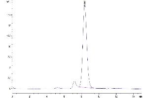 The purity of Human CTLA-4 is greater than 95 % as determined by SEC-HPLC. (CTLA4 Protein (AA 36-161) (His tag))