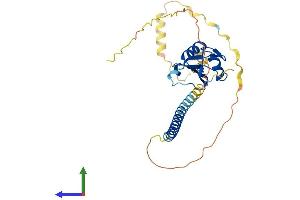 Protein Structure (PS) image for RALY RNA Binding Protein-Like (RALYL) (AA 1-291) protein (His tag) (ABIN7551266)